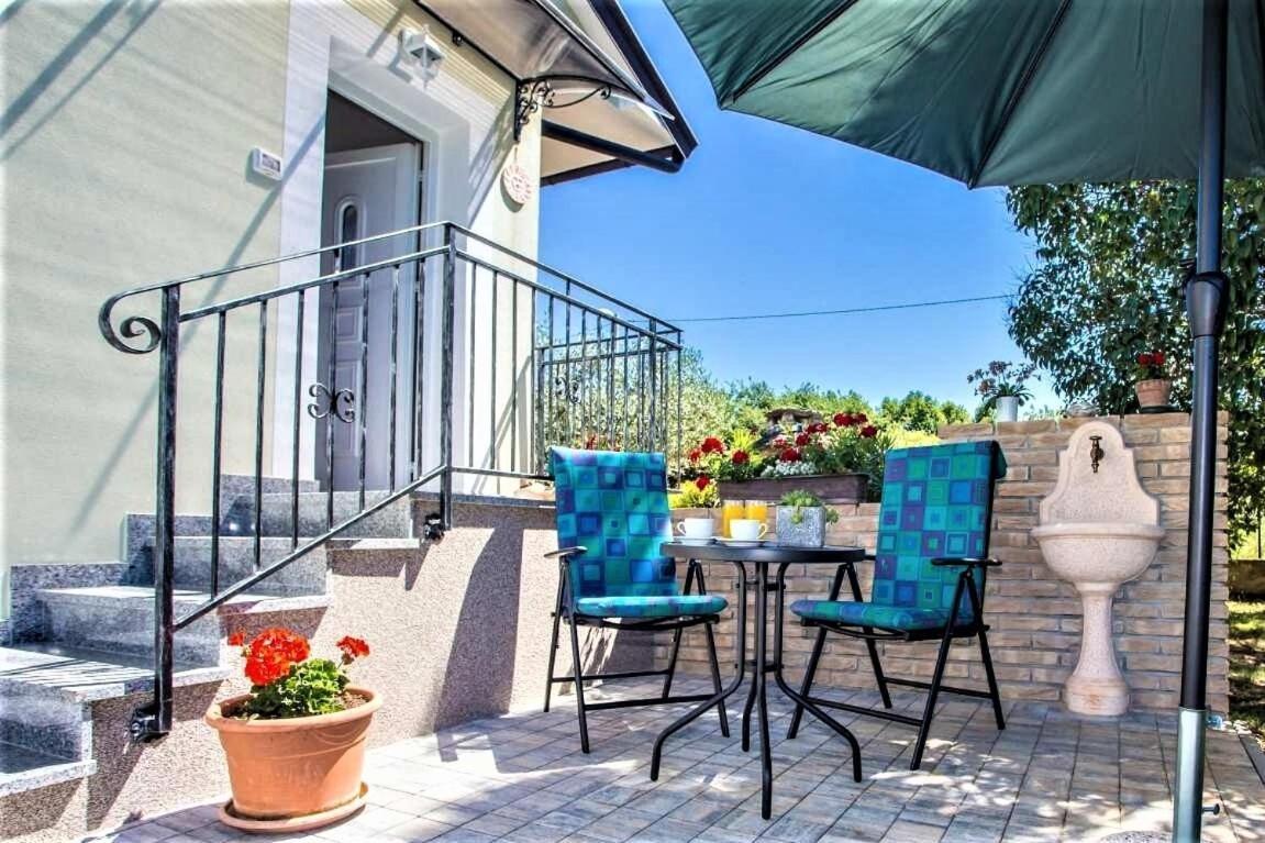 Apartman Oasis 1
