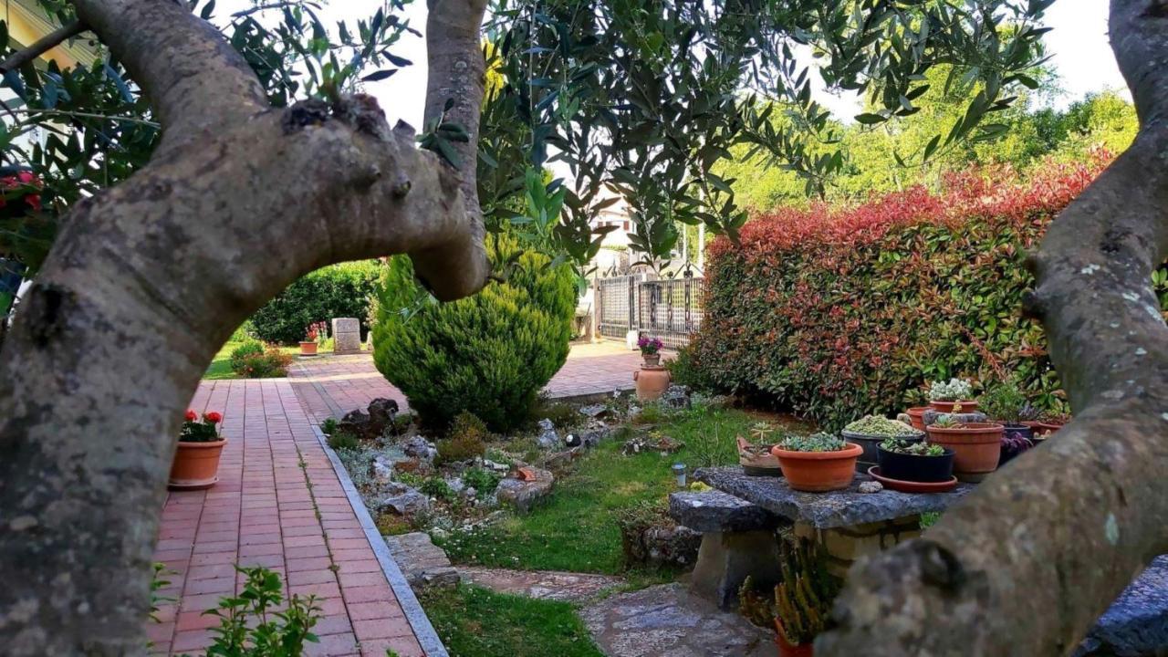 Oasis 1 Apartman