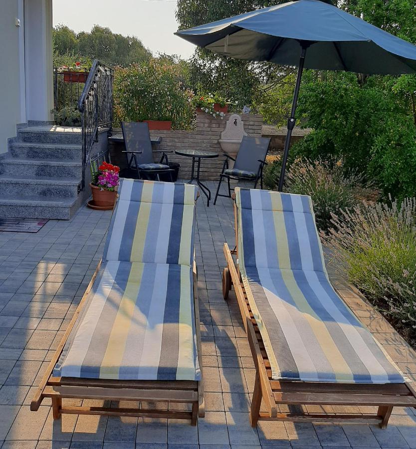 Oasis 1 * Umag